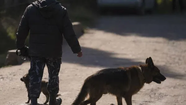 Разыскивается мать младенца, тело которого нашли на берегу реки в Королеве