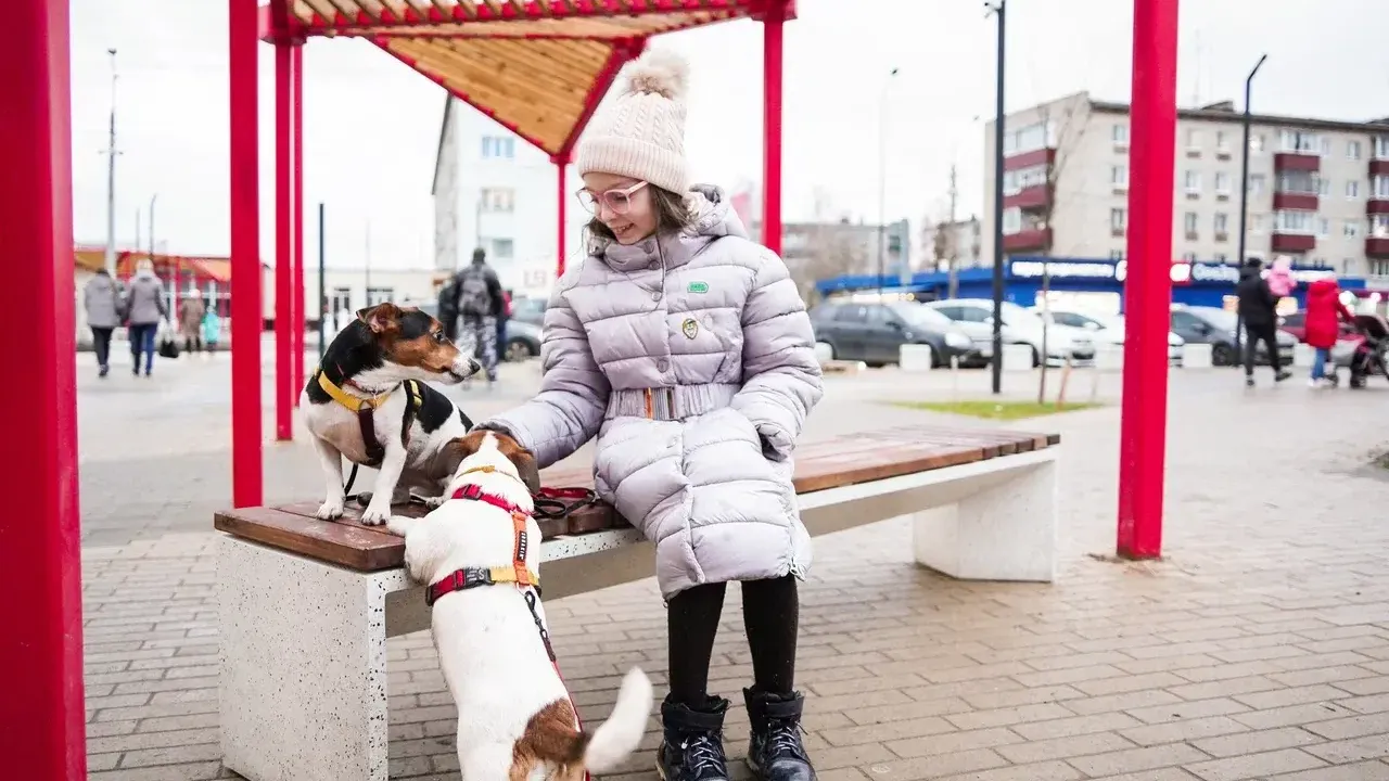 Министерство благоустройства Московской области
