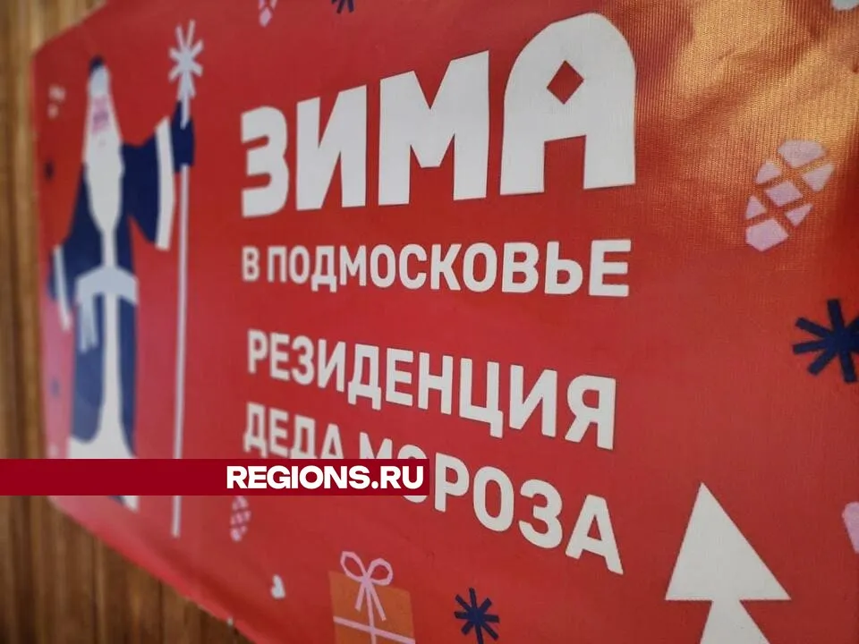 Фото: Светлана Плотникова