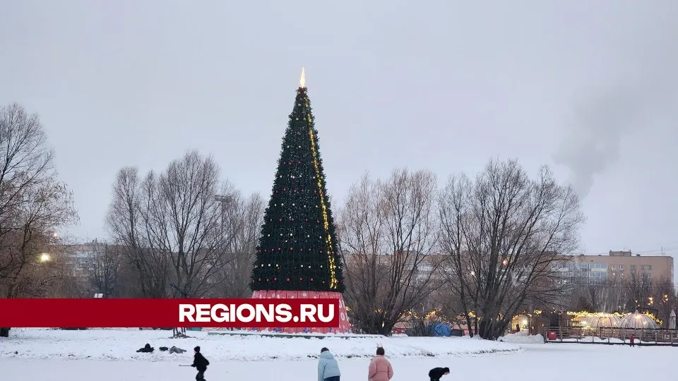 Фото: Никита Сморкалов