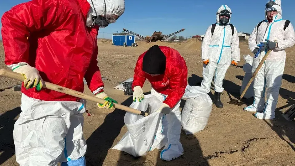 Фото: Министерство информации и молодежной политики МО