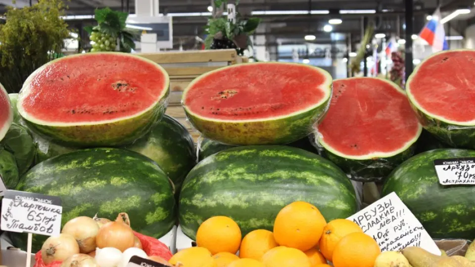 Фото: REGIONS/Анастасия Широкая