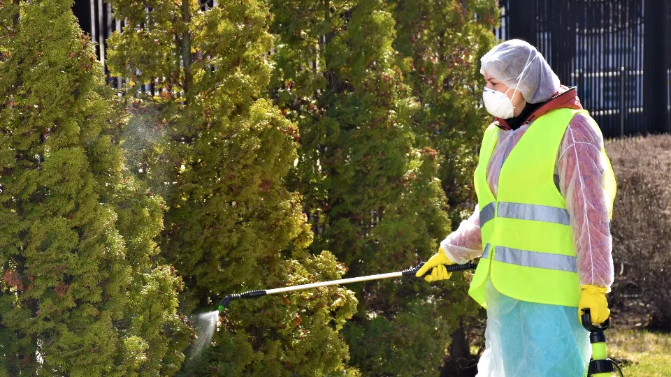 Фото: vk.com/ЦКиД «Пегас»