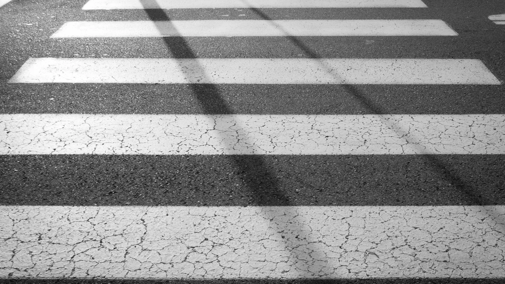 Фото: pxhere.com