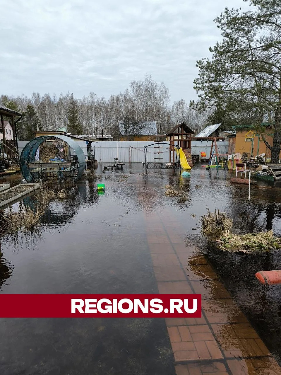 Фото: Юлия  Андросова