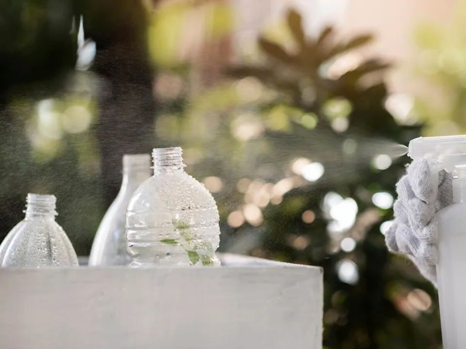 Фото: freepik.com