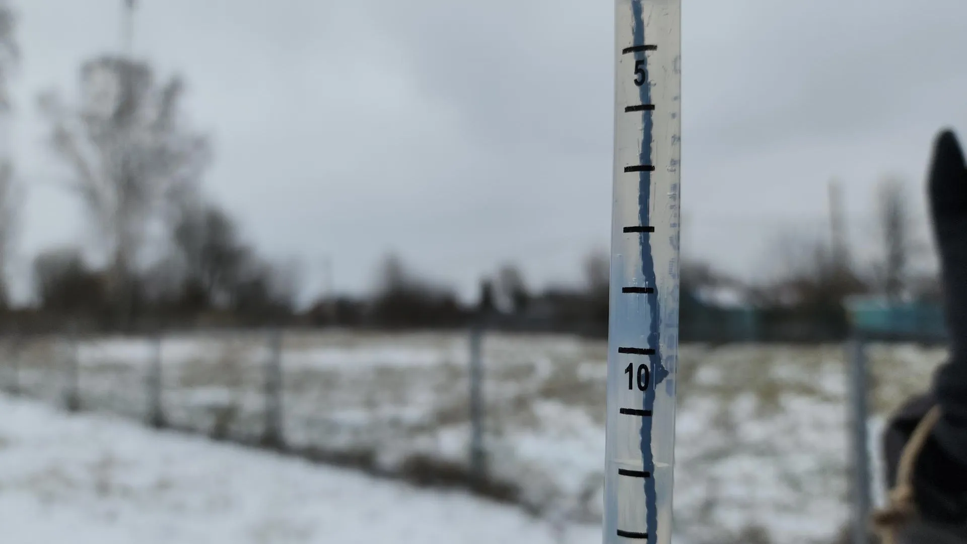 В. Соловьёва