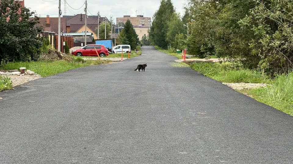 Фото: МедиаБанк Подмосковья/Татьяна Рунова