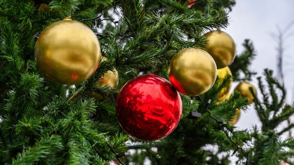 Фото: REGIONS/Полина Крачун