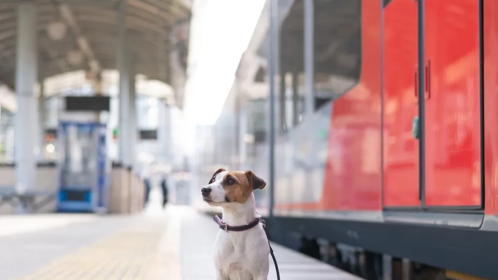 Фото: freepik.com