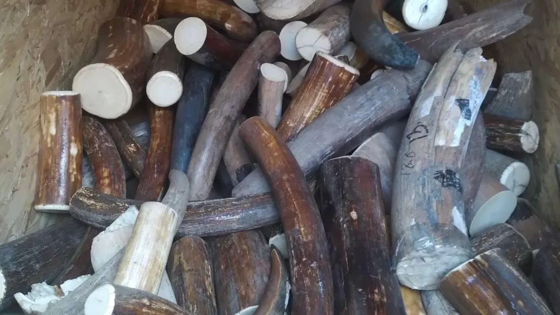 Пресс-служба Московской межрегиональной транспортной прокуратуры