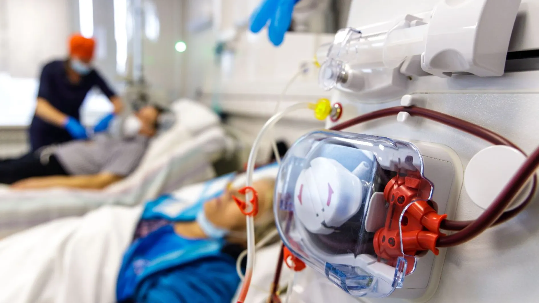 Фото: МедиаБанк Подмосковья/Наталья Лымарь