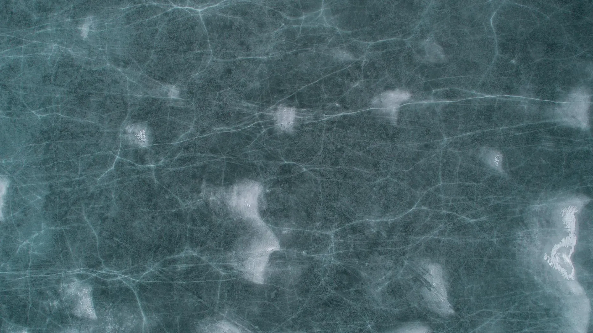 REGIONS/Дмитрий Некрасов