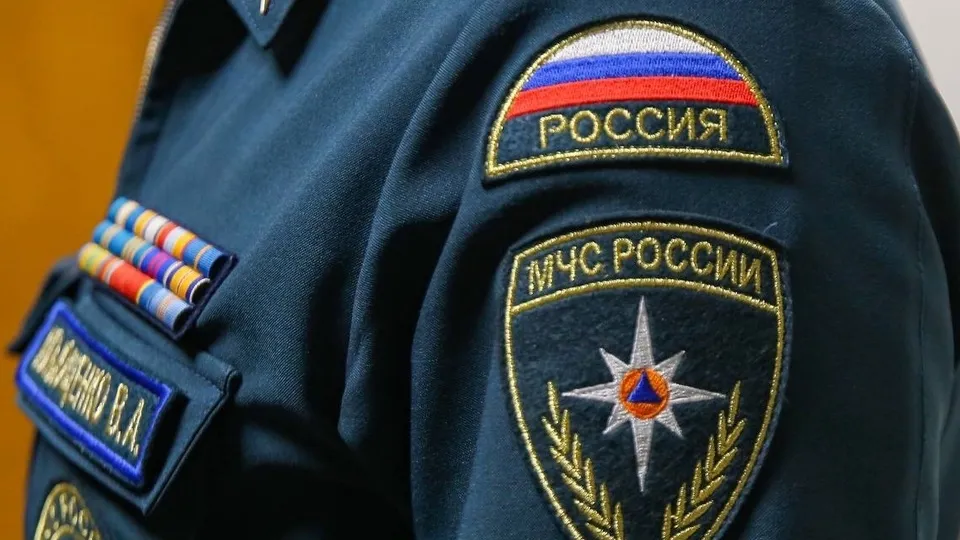 Фото: пресс-служба Администрации г.о. Химки