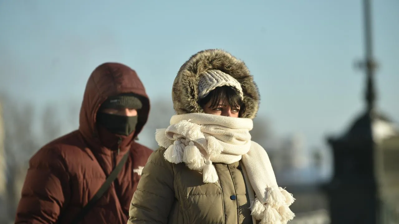 медиасток.рф