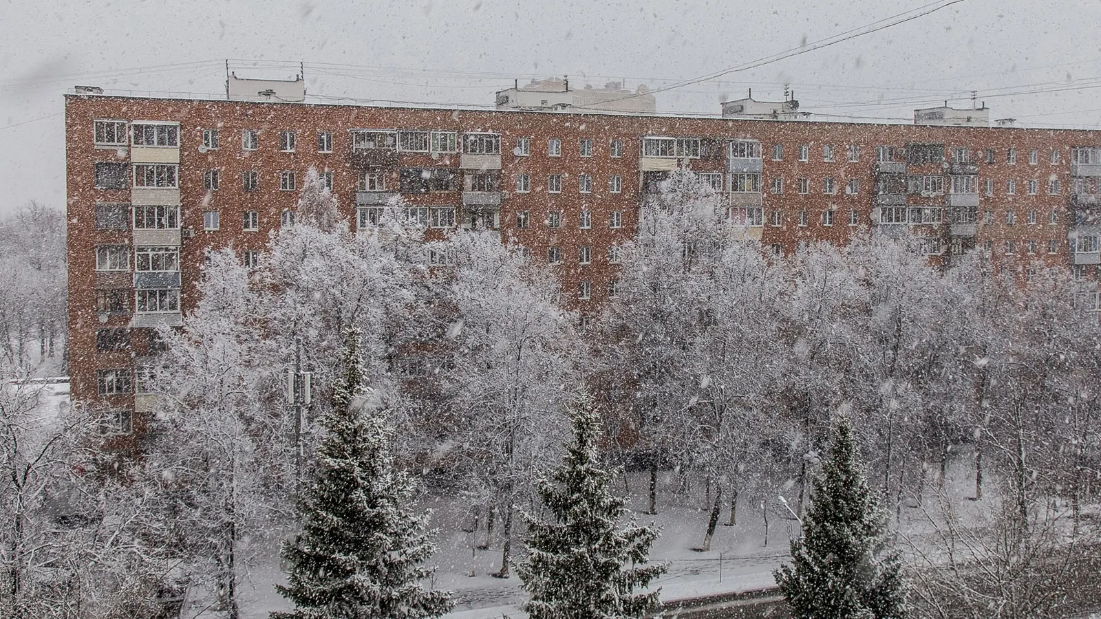 Фото: Антон Селянин