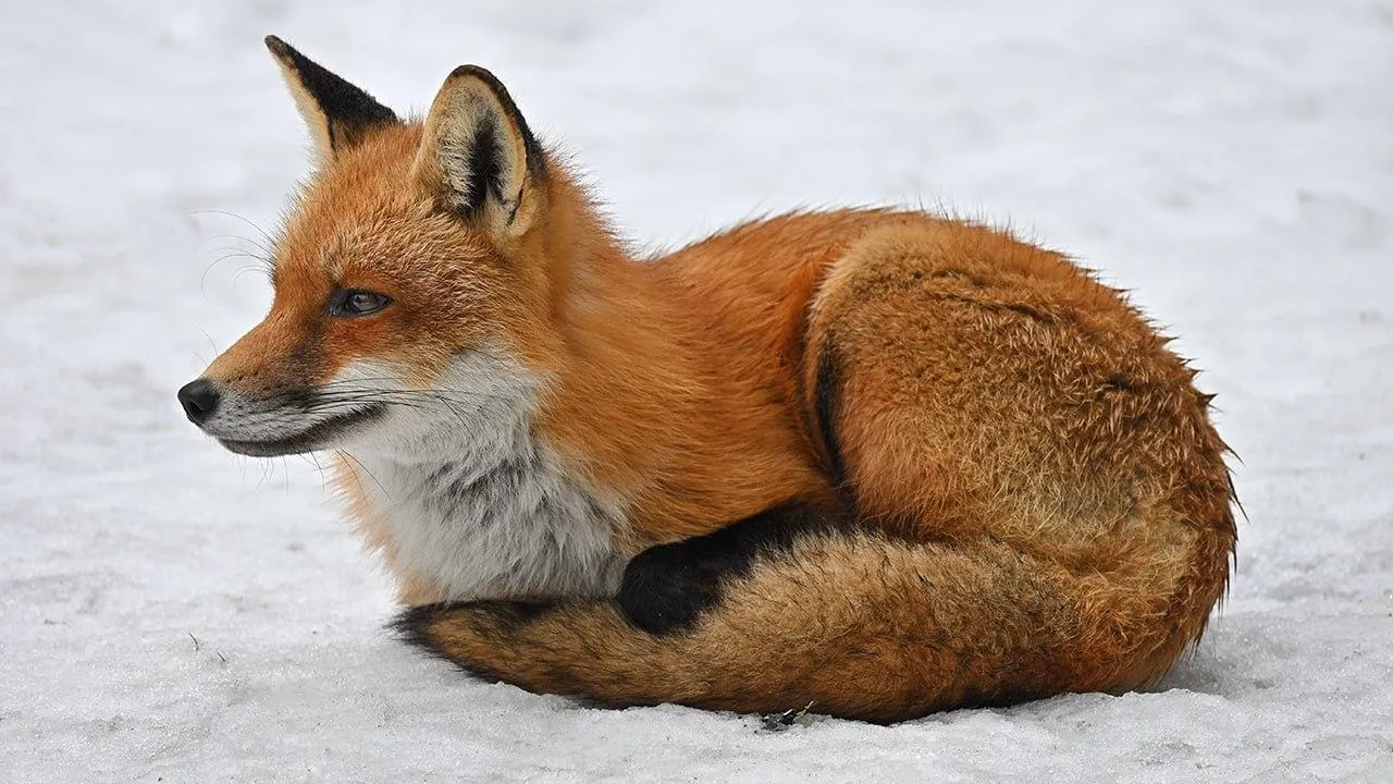 istockphoto.com/Robert Winkler