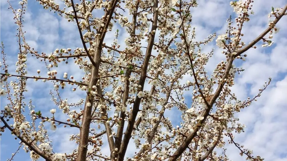 Фото: t.me/turizm_dmd