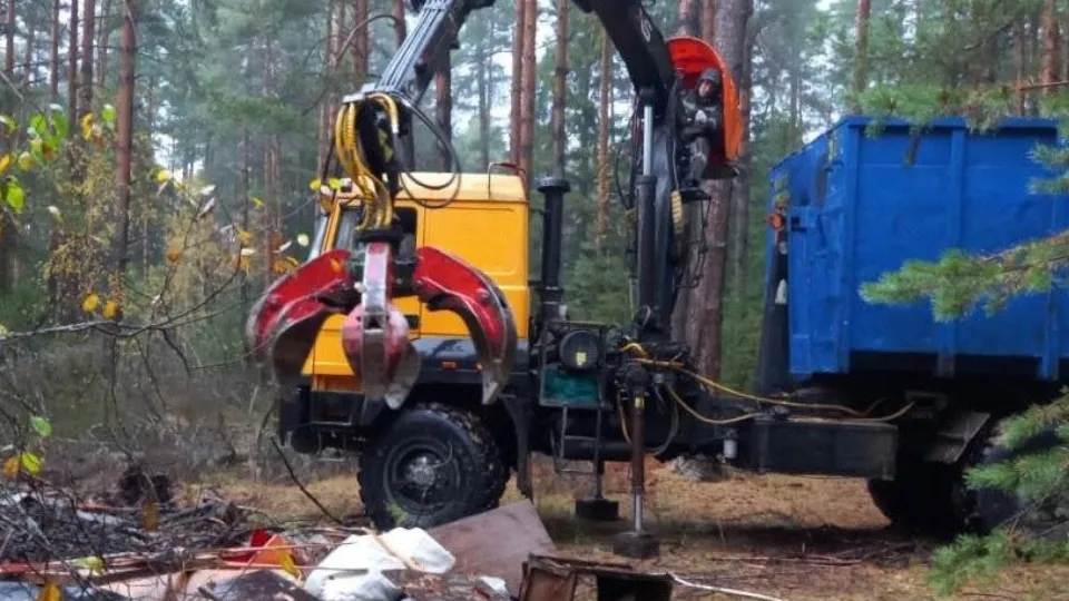 Фото: Комитет лесного хозяйства МО