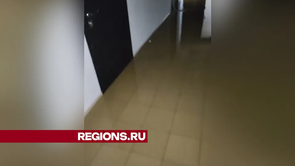 Фото: REGIONS/Анастасия Шагайская