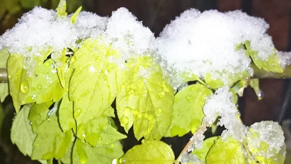 Фото: из личного архива Дмитрия Кравцова