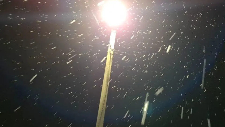 Фото: REGIONS/Юлия Габбасова