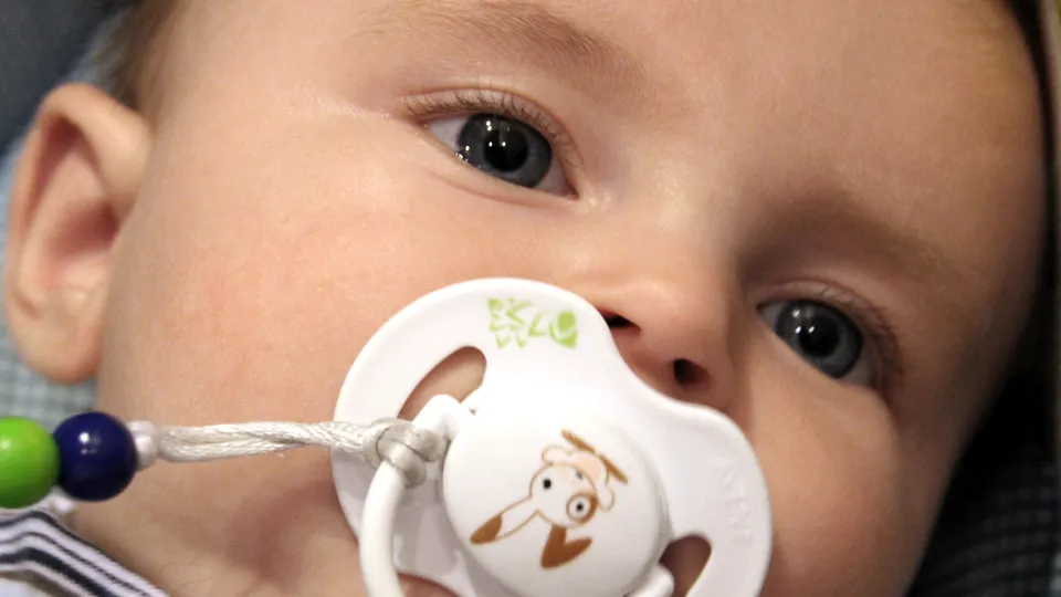 Фото: pxhere.com