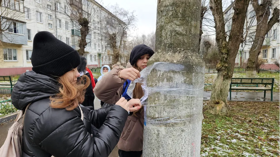 Фото: МАОУ «Константиновская СОШ»