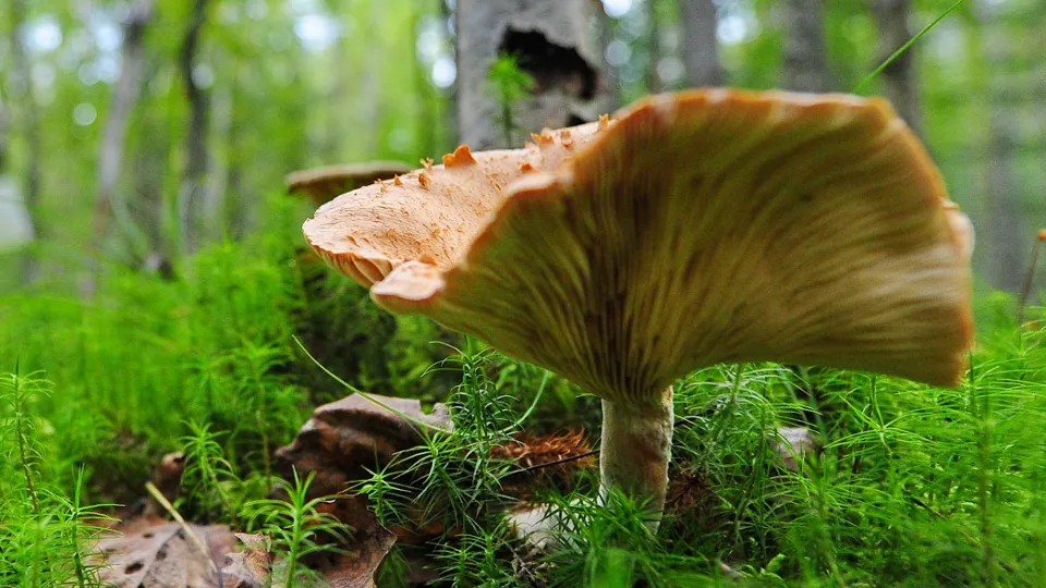 Фото: ИТАР-ТАСС/Владимир Смирнов