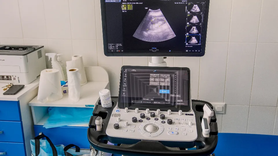 Фото: медиасток.рф