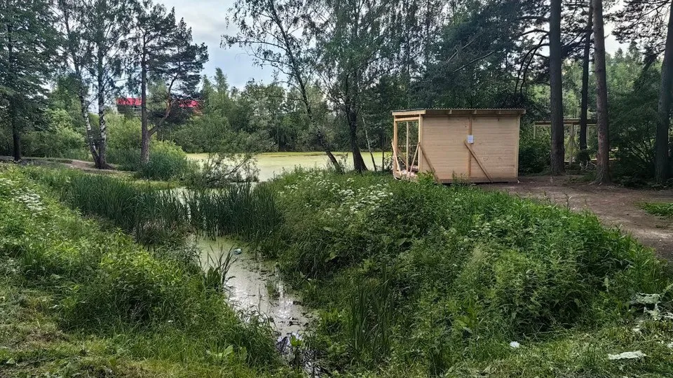 Фото: соцсети