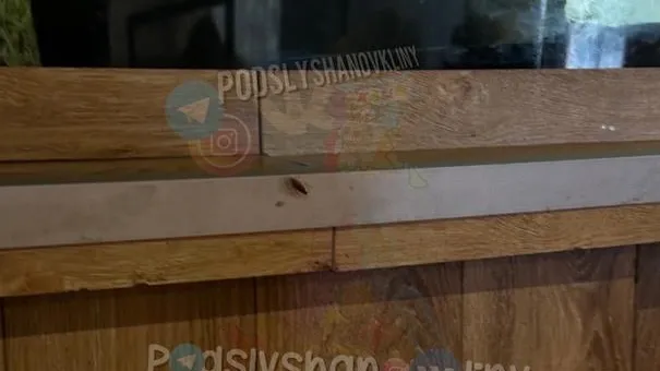 фото: соцсети