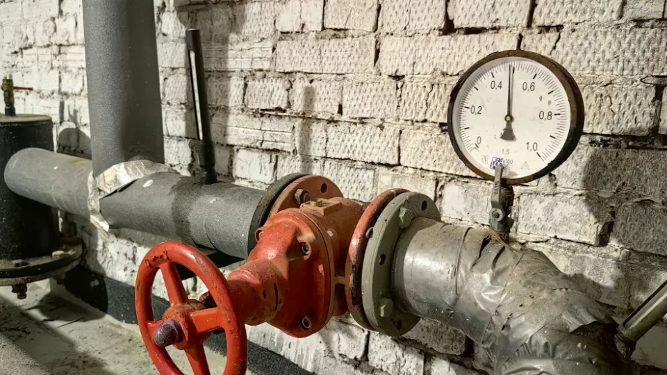 Фото: МедиаБанк Подмосковья/Елена Катасонова