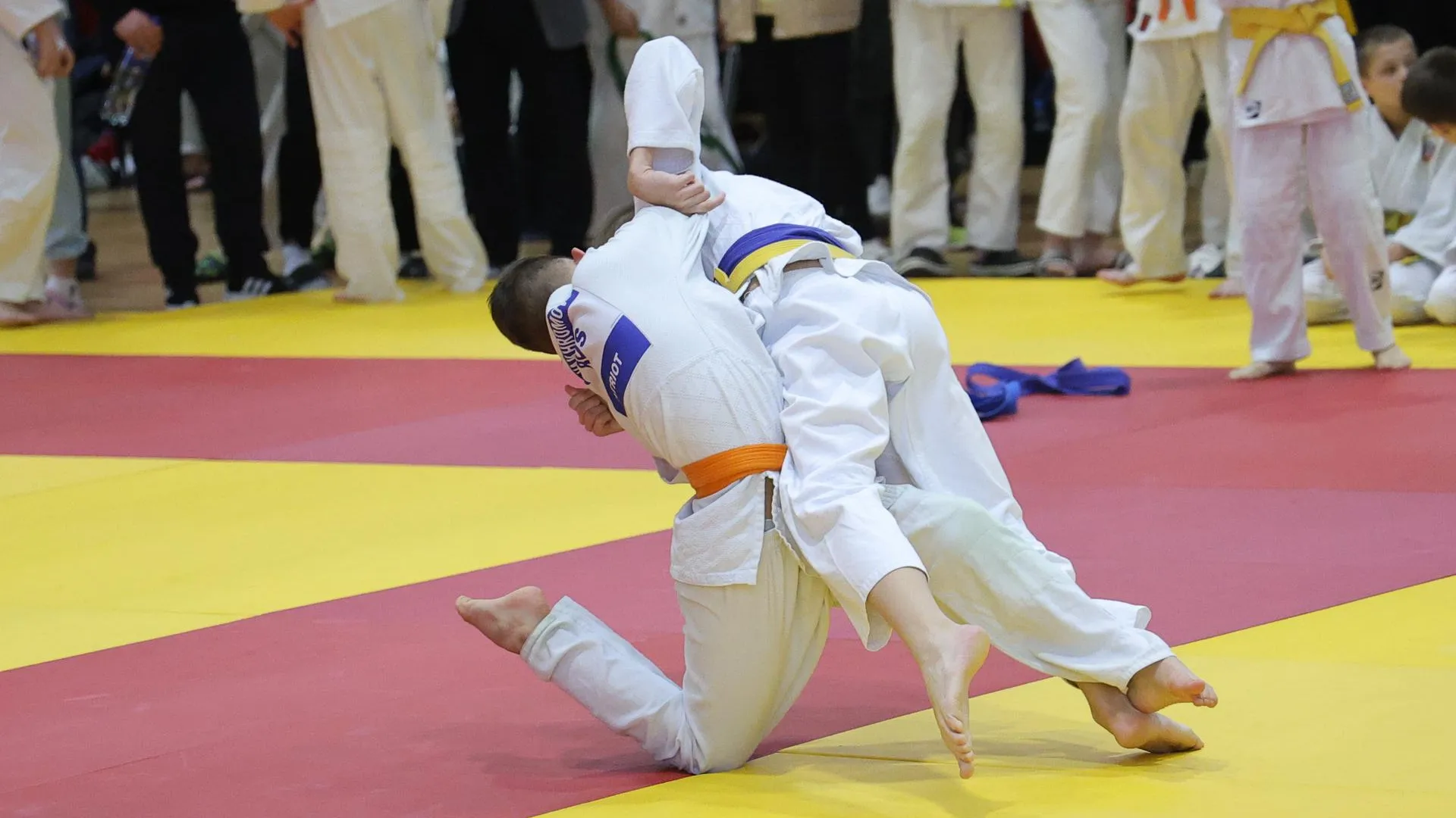 Фото: пресс-служба администрации г.о. Балашиха