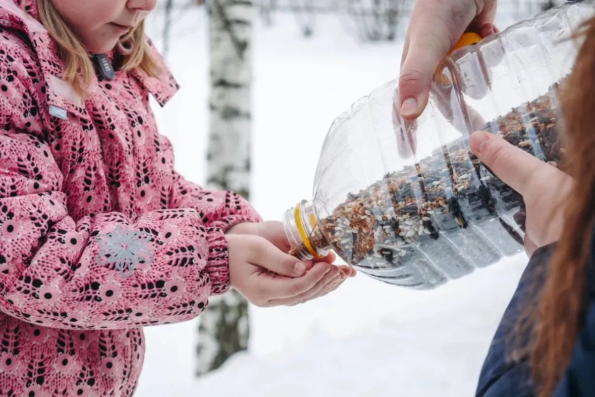 Фото Дарья Исаева / Объединенная дирекция парков Лосино-Петровского