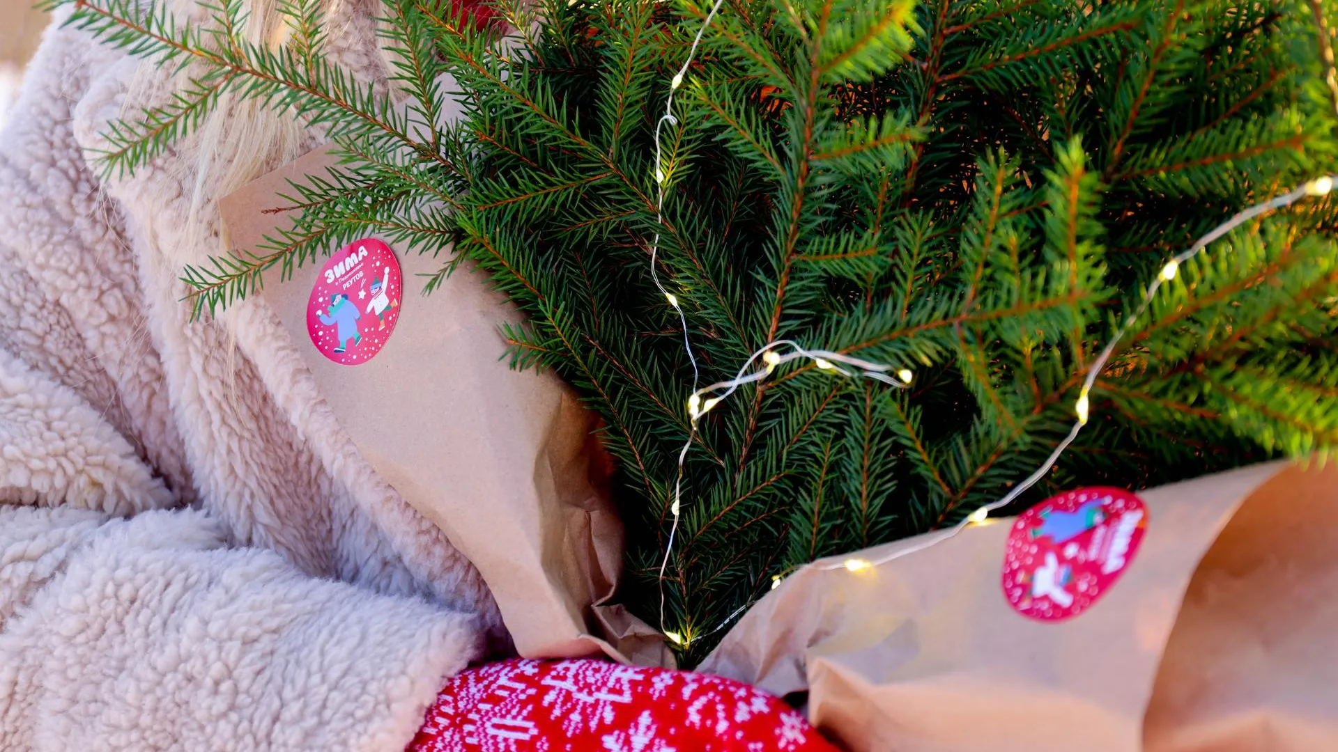 Министерство культуры и туризма МО