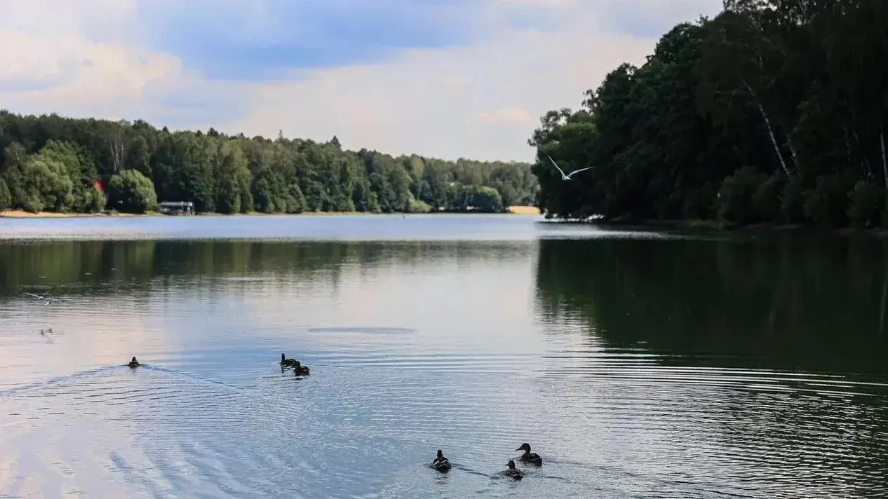 Константин Семенец