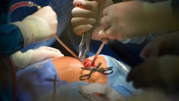 В Краснодаре завели уголовное дело на хирурга без диплома, из-за которого погибла женщина