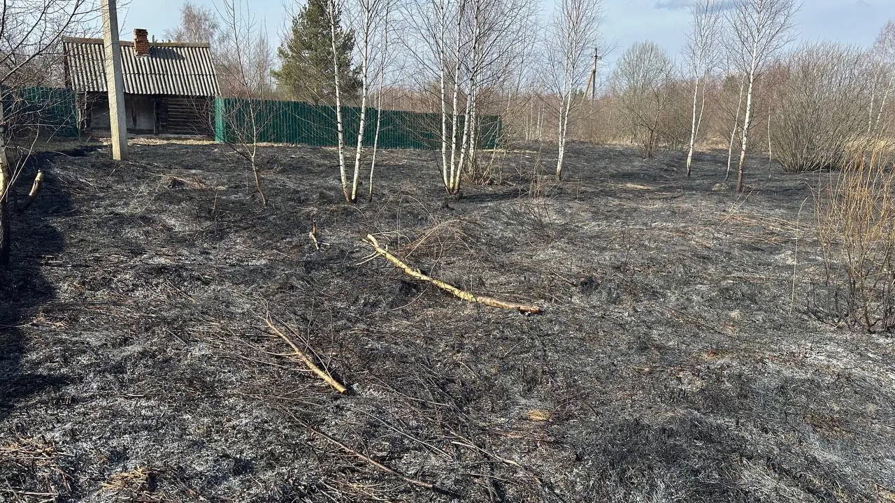 Фото: Ольга Паршикова