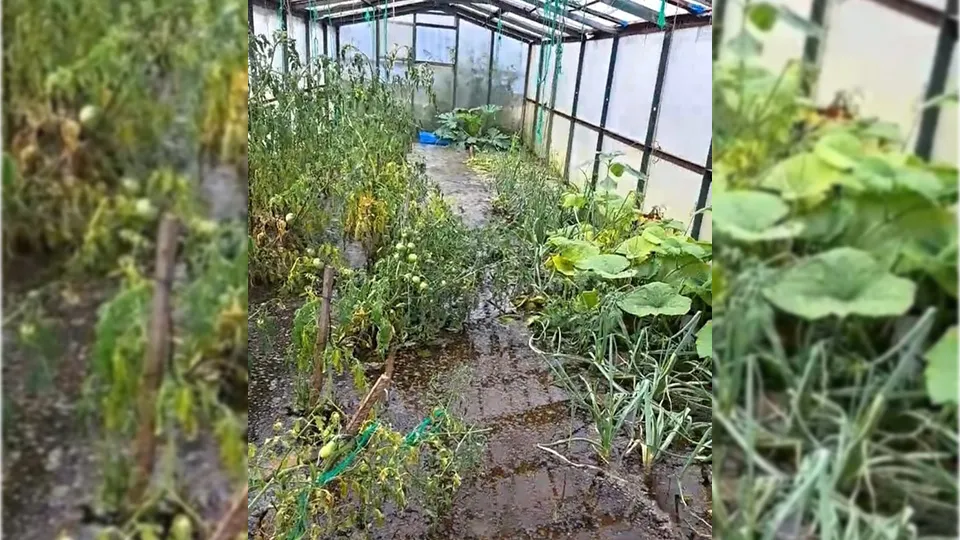 Фото: Надежда Пупшева