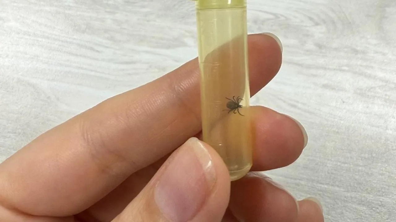 REGIONS/Александра Степанова