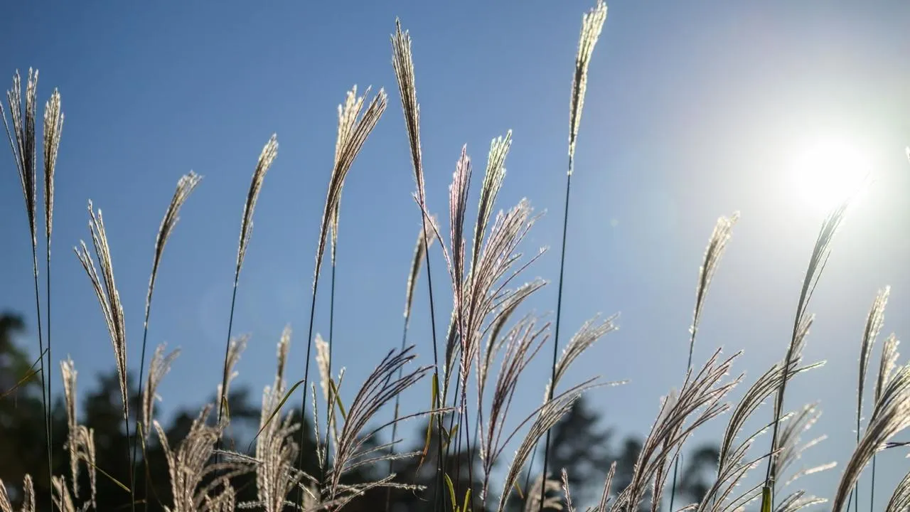 медиасток.рф