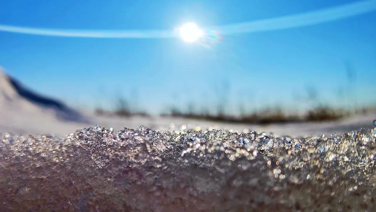 REGIONS/Алексей Селиверстов