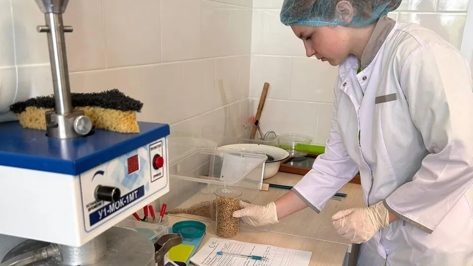 Фото: Министерство образования МО