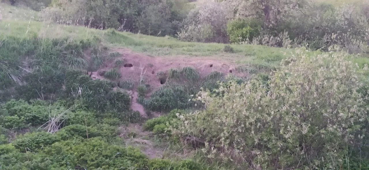 Фото: t.me/SERPRU