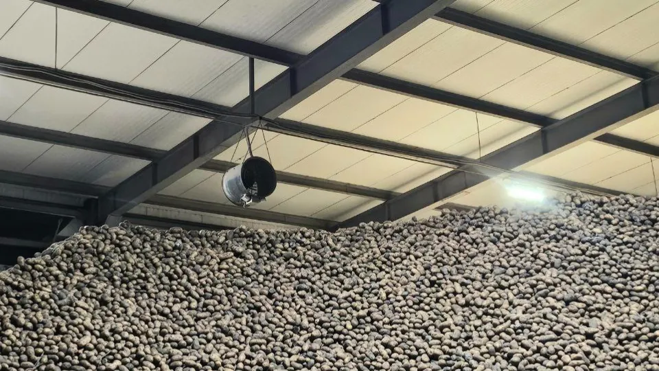 Фото: Агрохолдинг «ОСП агро»