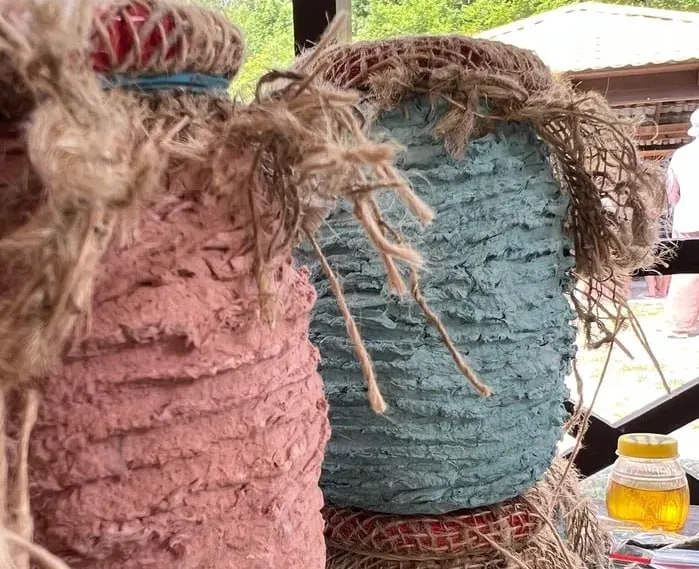 Фото: REGIONS/Татьяна Кордюкова