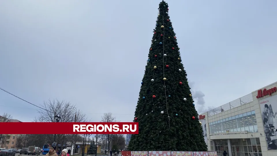 Фото: Мария Шигорева