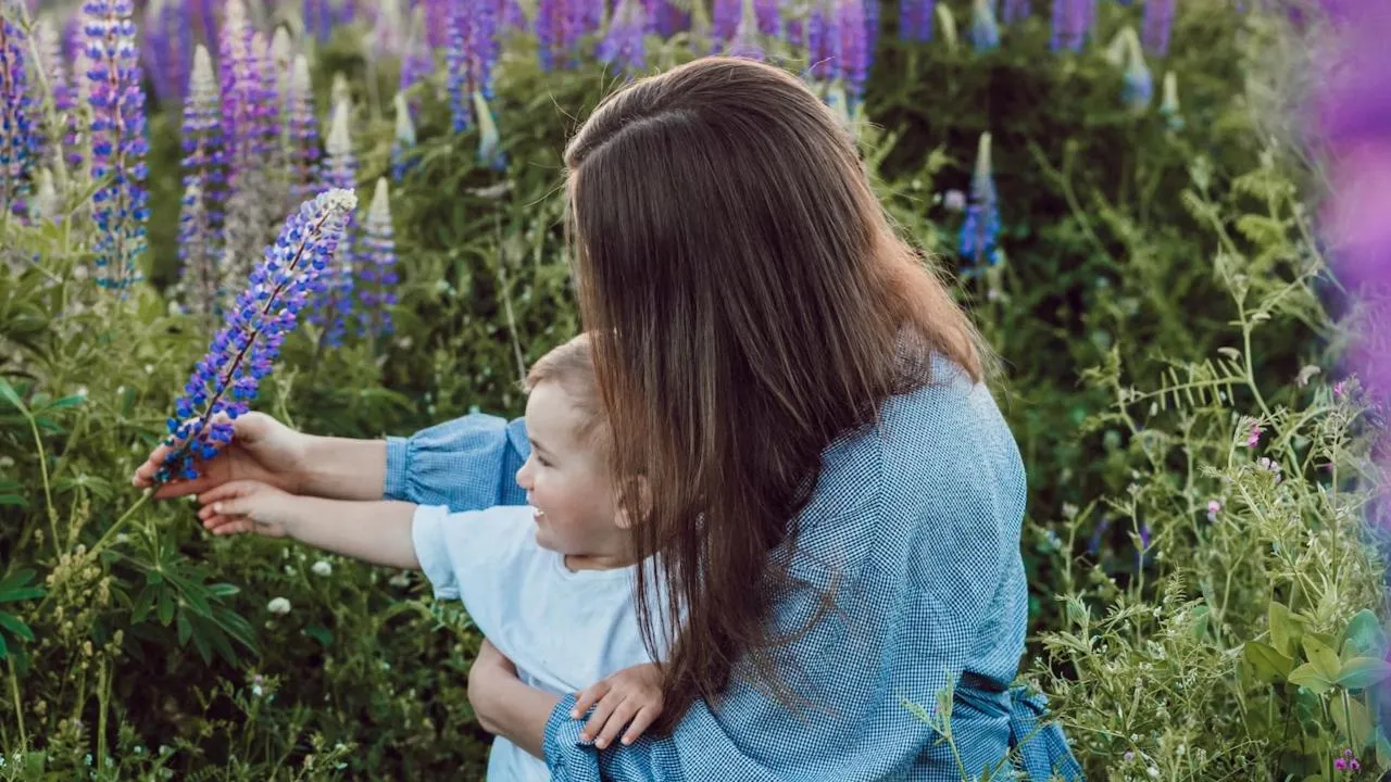 В МВД России озвучили ущерб от хищений маткапитала на неродившихся детей