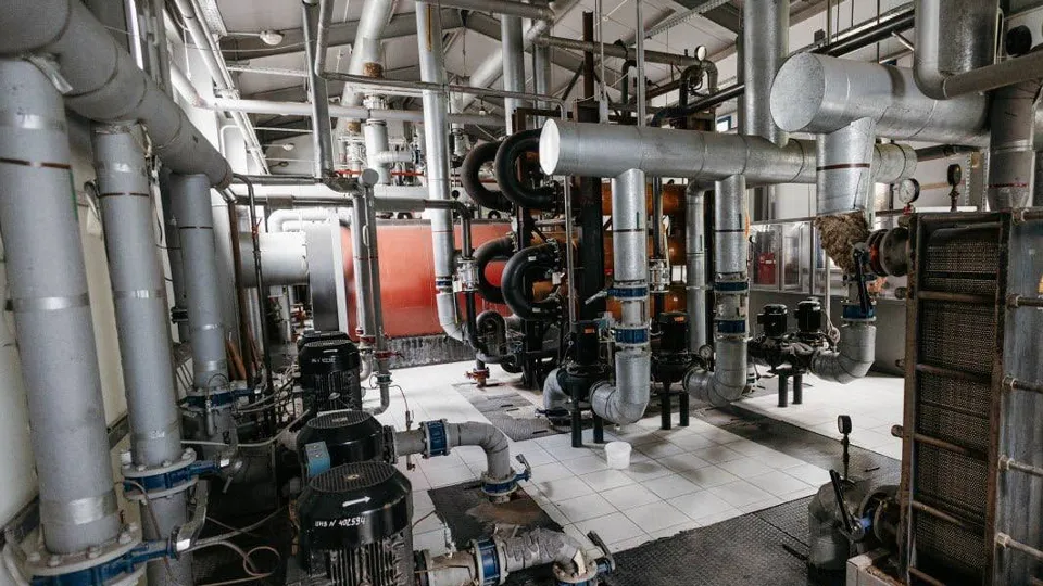 Фото: МедиаБанк Подмосковья/администрация г.о. Чехов